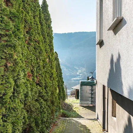 Moseltal By Ascar Cusa Apartament